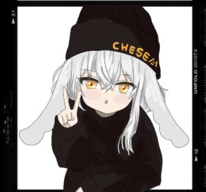 ちーず📸🐰🧀のイメージ4