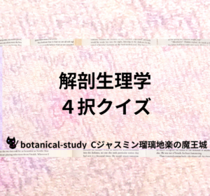Cジャスミン瑠璃地楽のイメージ4