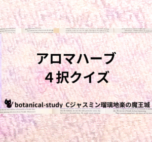 Cジャスミン瑠璃地楽のイメージ5
