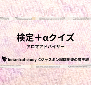 Cジャスミン瑠璃地楽のイメージ6